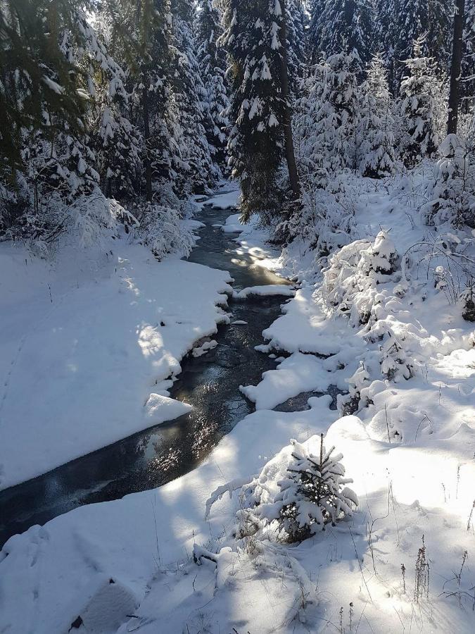 Skalny Zakatek Z Grota Solna Na Wylacznosc Лапше-Нижнє Екстер'єр фото